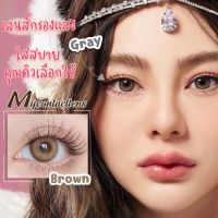 คอนแทคเลนส์ (มินิ) Honey dew brown, gray ค่าอมน้ำ42% ใส่สบายตา เลนส์กรองแสง ของแท้ จากเกาหลี