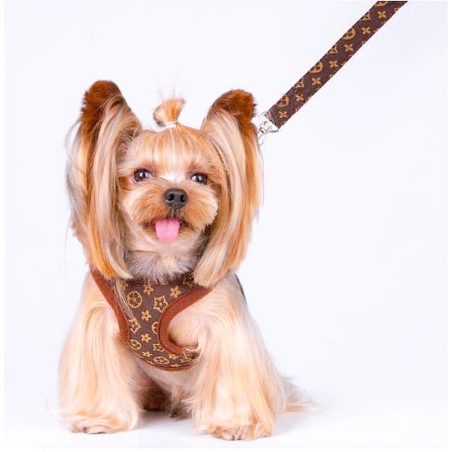LV Dog Jacket Luxury Soft Leather Harness and Leash Set Designer G*cci Dog  Leash Chanel Jacket Dog Cat Collar