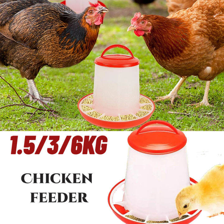 Automatic Chicken Feeder Bucket Plastic Chicken Feeding Tool Imported