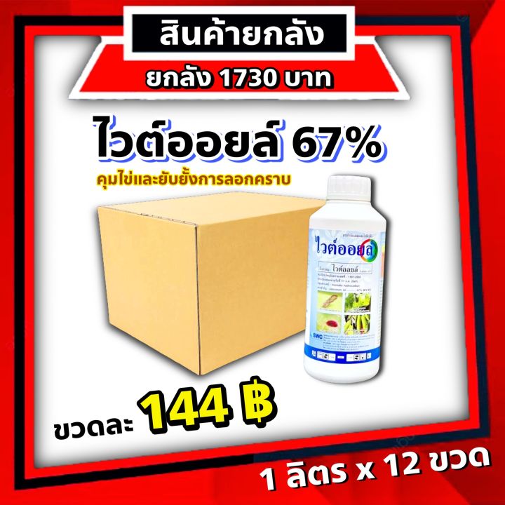 ยกลัง 12 ขวด ไวต์ออยล์ 1 ลิตร ✅ ไวออย ยาคุมไข่แมลง ยาเย็น น้ำครีม  #เอสเค99