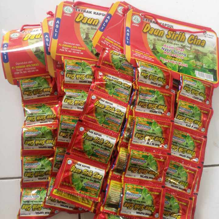 Kapsul Asam Urat Daun Sirih Cina Sachet Lazada Indonesia