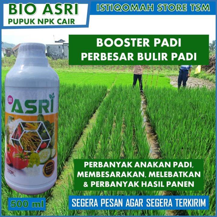 BIO ASRI 500 ML Pupuk Padi Sawah Terbaik Penambah Anakan Padi Hasil