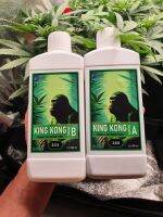 King Kong Grow AB ปุ๋ยน้ำ AB สูตรทำใบ ปุ๋ยทำใบ เร่งใบ เร่งโต เหมาะสำหรับพืชทุกชนิด