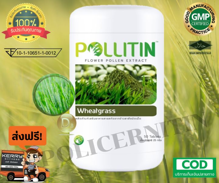 pollitin-set-พอลลิติน-เซต-ชุดมะเร็งสมอง-มะเร็งเม็ดเลือดขาว-ต่อมน้ำเหลือง-สินค้าพร้อมส่ง