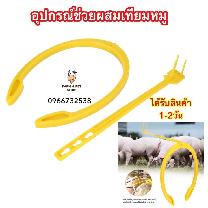 ส่งด่วนจากไทย-a-i-buddy-สำหรับการผสมเทียมสุกร-ตัวช่วยผสมเทียมหมู-ชุดผสมเทียมหมู-เดือยผสมสุกร-อุปกรณผสมเทียม