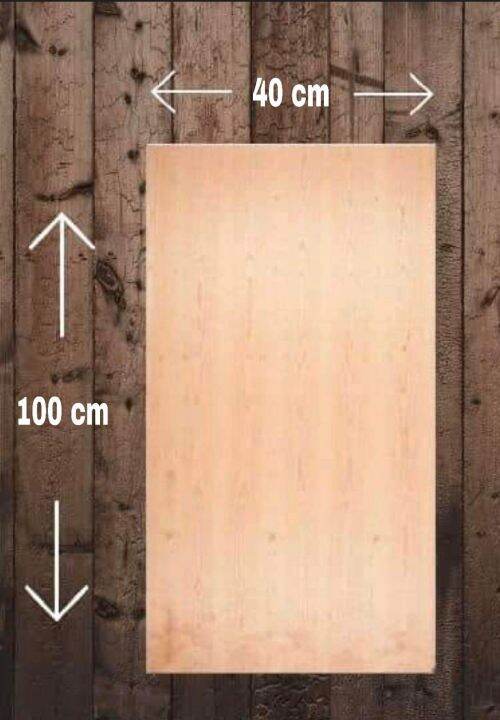 3/4 PLYWOOD 40 cm x 100 cm Lazada PH