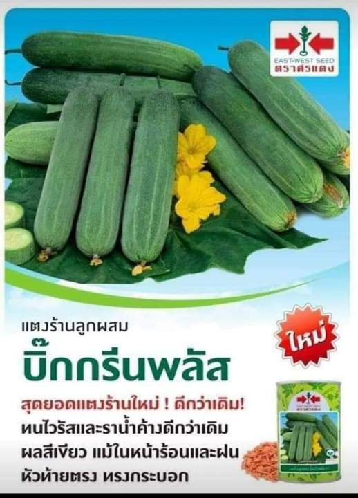 แตงร้านบิ๊กกรีนพลัส-ขนาด100กรัม