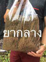 คะแหนงยารสเบา-กลาง กินหมากได้ปลูกแบบออแกนิก 1กิโลกรัม