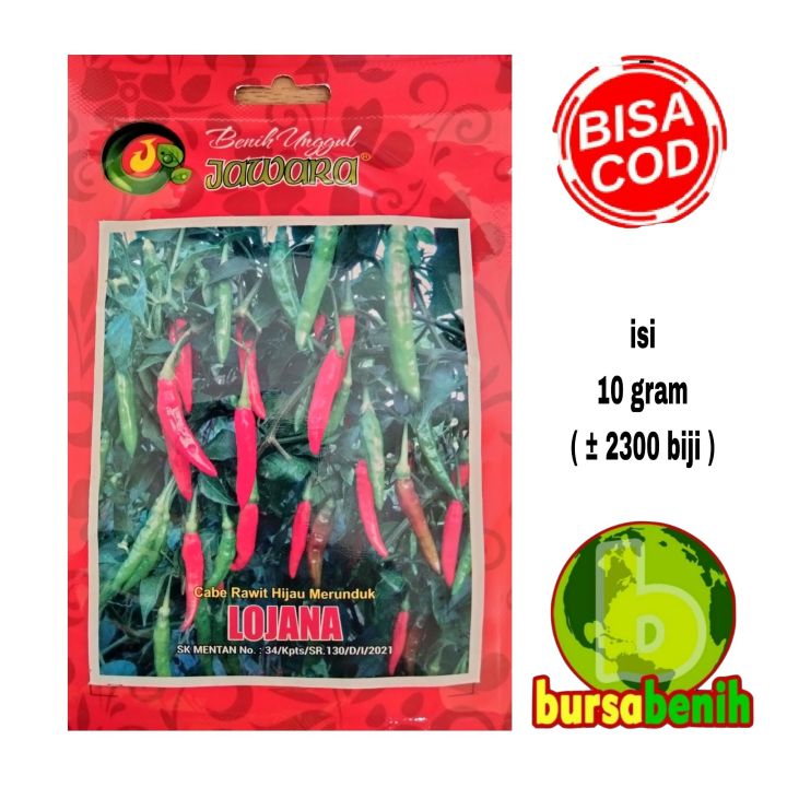 Isi 2300 Biji Bibit Cabe Rawit Hijau Merunduk Lojana Isi 10 Gram