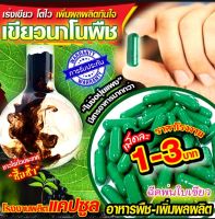 ?นาโนแคปซูล อาหารพืช?50เม็ด175บาท?ถูกที่สุด?ราคาโรงงาน?เร่งพืชโตไว? น้ำหนักดี ?เพิ่มผลผลิต?