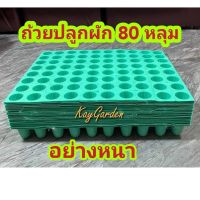 ถ้วยปลูกผักไฮโดรโพนิกส์สีเขียว อย่างหนา เกรด A ราคาถูก 100 แผง*ยกลัง*