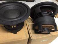 P-Audio TM-12 Subwoofer