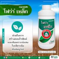 โฟว่า เหล็ก ช่วยสร้างคลอโรฟิลล์ ใบเขียวเข้ม ต้นสมบูรณ์ ขนาด 1 ลิตร