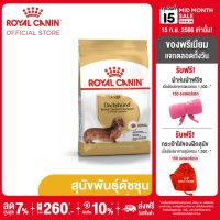 Royal Canin Dachshund Adult โรยัล คานิน อาหารเม็ดสุนัขโต พันธุ์ดัชชุน  อายุ 10 เดือนขึ้นไป (กดเลือกขนาดได้, Dry Dog Food)