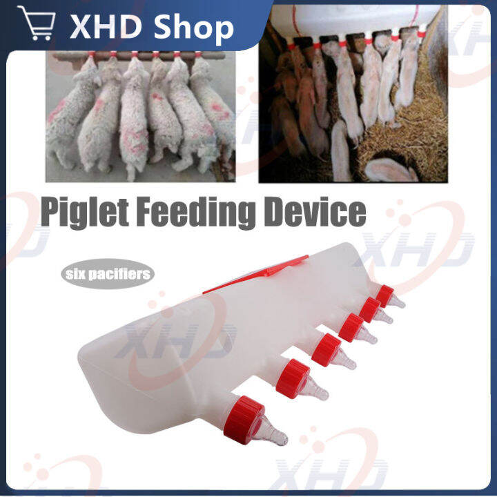 6Slot Piglet milk feeder feeding tools piglet automatic pig milk