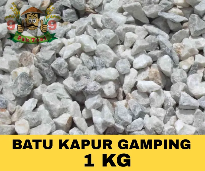 Batu Kapur Gamping Per Pack 1 Kg | Lazada Indonesia