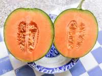 เมล่อน ออแกนิก melon ผลไม้ ตามฤดูกาล สดใหม่