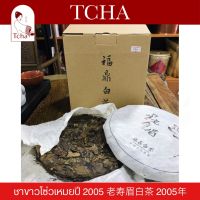 TCHA | ชาขาวฟู่ติ่งโซ่วเหมยปี 2005 (ชาเก่า) 老寿眉白茶 2005年 Shou Mei White Tea 2005