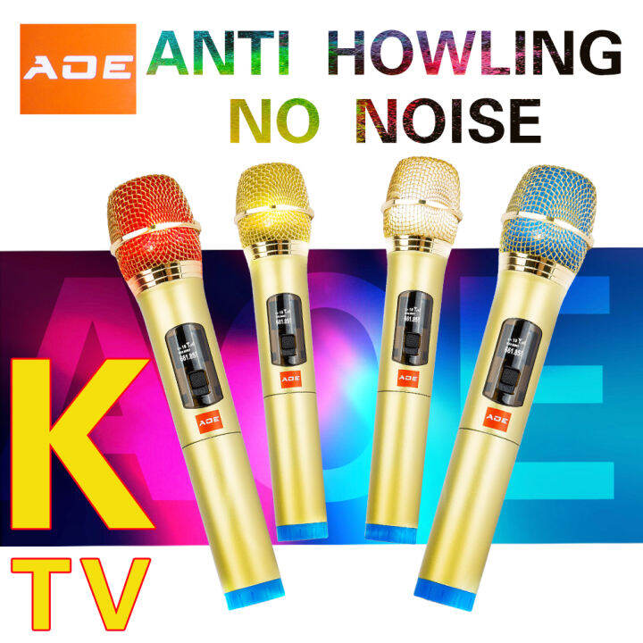 Rechargeable Wireless Karaoke Microphone Handheld Mic Dual UHF Portable
