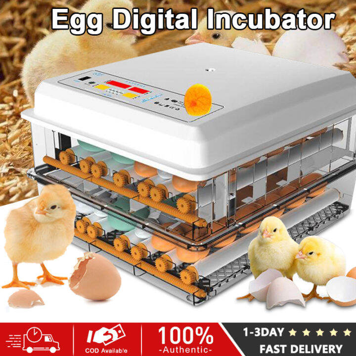 Egg Incubator 12/16/36/64/120 Eggs Fully Automatic Egg Incubator