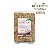 เมล็ดข้าวโอ๊ตอินทรีย์  OAT GRAINS (raw cereals) Organic 100%  ขนาด500กรัม