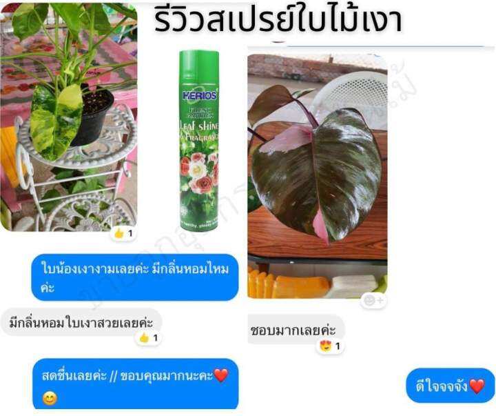 สเปรย์เคลือบใบไม้เงา-กลิ่นกุหลาบ-ขนาด-650-ml