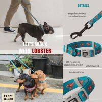 ปลอกคอ สายจูงสัตว์เลี้ยงพรีเมี่ยม สไตล์เกาหลี Puppy Gallery collar&amp;Leash ปลอกคอและสายจูงสีสันสดใสบุซับในนิ่ม น่ารัก ดีไซน์เกาหลี