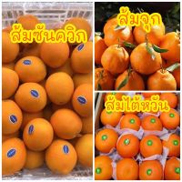 พร้อมส่ง‼️(1KG) ส้มซันควิกสด ส้มไต้หวั่น ส้มจุกสเ ส้มนาเวลสด