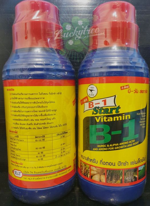 vitamin-b-1-ขนาด-1-ลิตร