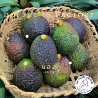 อะโวคาโดแฮส Avocado Hass(1kg.) อ่านรายละเอียดก่อนสั่งซื้อ.