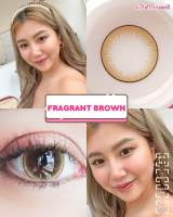 คอนเเทคเลนส์ Kittykawaii Fragrant brown (14.5)