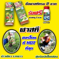 ฟาสที 1 ลิตร ซื้อ 2 ขวดแถมจับใบ 1 ขวด ? ฮอร์โมนสูตรเข้มข้น เร่งราก บำรุงราก บำรุงดิน  หน่อเขียว รากขาว เร่งต้น แตกยอด บำรุงใบ แตกกอ กระตุ้นราก แก้ปัญหาดินเสีย ใบเงาสด ฟื้นฟูต้นโทรม # ฮิมมิค B1 ไร่เทพ ลั่นทุ่ง 4tree  บอนสี กระท่อม ไม้ดอก ไม้ประดับ ข้าว