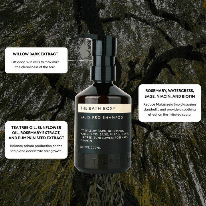 THE BATH BOX - Salix Pro Haircare (Rambut Berketombe, Rambut Berminyak