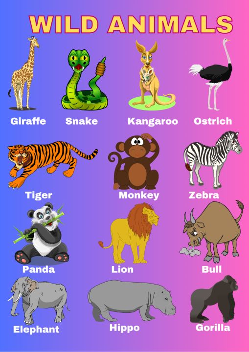 wild animals chart | Lazada PH