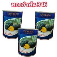 ?เมล็ดพันธุ์ฟักทอง ทองอำพัน346 ขนาด 100 กรัม เนื้อเหนียว มัน(ส่งฟรี)