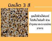 มิลเลต มิลเล็ต มิลเลตสามสี มิลเล็ตสามสี มิลเลต3สี มิลเล็ต3สี เขาเล็ก อาหารนก แบ่งบรรจุ 300g 500g และ 1 kg ******?พร้อมส่ง?