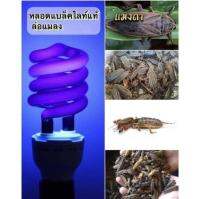 หลอดไฟล่อแมลงขนาด 36 วัตต์แสงสีม่วง มีทั้งแบบเสียบตรงกับหม้อแบตเตอรี่และใช้กับไฟบ้านอายุการใช้งาน 8,000 ชั่วโมง