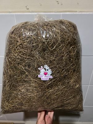 หญ้าแพงโกล่าสำหรับสัตว์เลี้ยง ขนาด1kg. Pangkola grass 1kg.