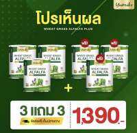 ? 3 แถม 3 ? ส่งฟรี ‼️ ยูมิโกะ วีทกราส อัลฟาฟ่า คลอโรฟิลล์ ไฟเบอร์ ดีท็อก ลำไส้ สารพิษ ปริมาณ 200 กรัม Wheatgrass Alfalfa yumiko 200 g