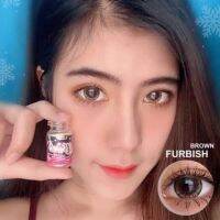 Bigeye/Furbish ลายมาใหม่ บิ๊กอาย,คอนแทคเลนส์