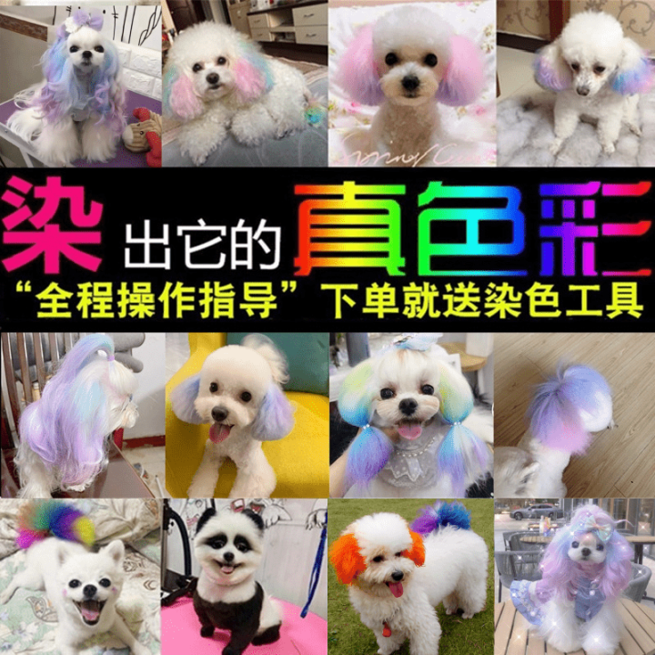Dog Hair Dye Hair Pet Special White Bichon Teddy Animal Cat Dye Hair