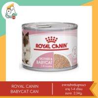 ROYAL CANIN BABYCAT CAN อาหารเปียก แบบเนื้อมูส  ลูกแมวอายุ 1-4 เดือน ขนาด 2.34g.