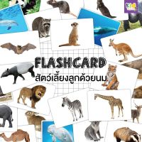 สัตว์เลี้ยงลูกด้วยนม (mammals) จำนวน 25 ใบ ขนาด A5
ด้านหน้า รูปภาพ
ด้านหลัง คำศัพท์ภาษาอังกฤษ