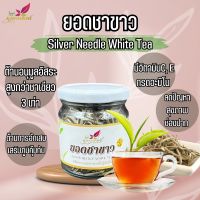 ยอดชาขาวอัสสัม ยอดชาขาว ชาขาว (Assam White Tea) บรรจุ 20 กรัม ปลูกโดยไร้สารเคมี สุดยอดชา ด้วยกลิ่นหอมเฉพาะตัว จากยอดดอยลาง