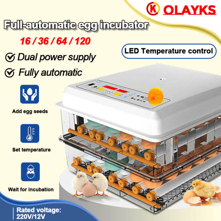 220v automatic egg incubator 16/36/64/120 egg incubator LED light