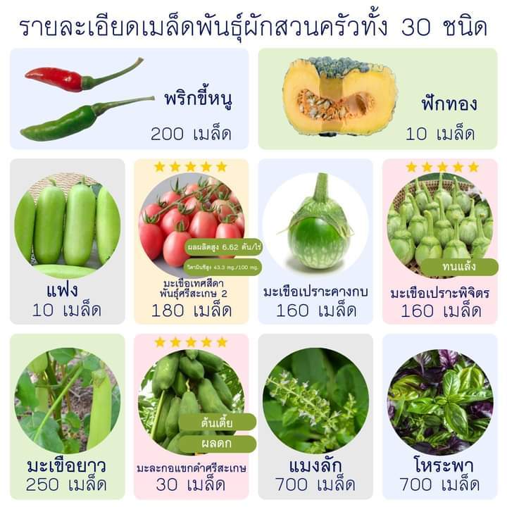 ชุดผักสวนครัวมินิสไตล์คนเมือง-ครบ-จบในเซท