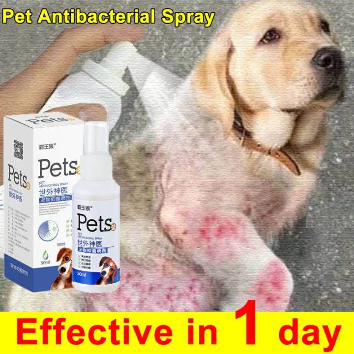 Pet skin treatment spray Pet skin care Antibacterial spray Cats and dogs pet  wound spray Safe