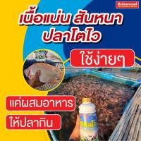 โตทันใจ ปลาโตเร็ว เนื้อแน่น ได้น้ำหนักดี