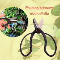 Flower scissors Pruning scissors กรรไกรบอนไซ ตกแต่งไม้ดอก ไม้ประดับ กรรไกรตัดกิ่งไม้ ตัดตกแต่งช่อดอกไม้ จ