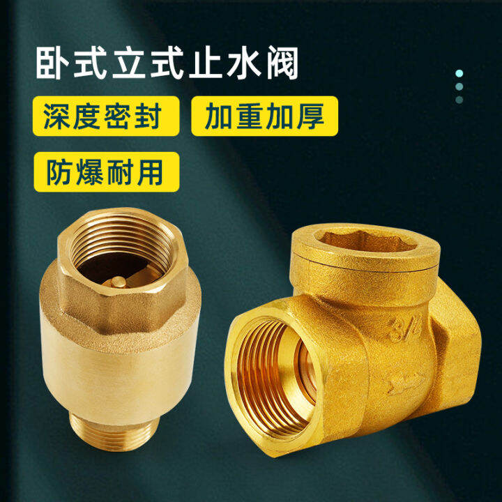 Check Valve Horizontal Check Valve Spring Vertical Direct Water Pump